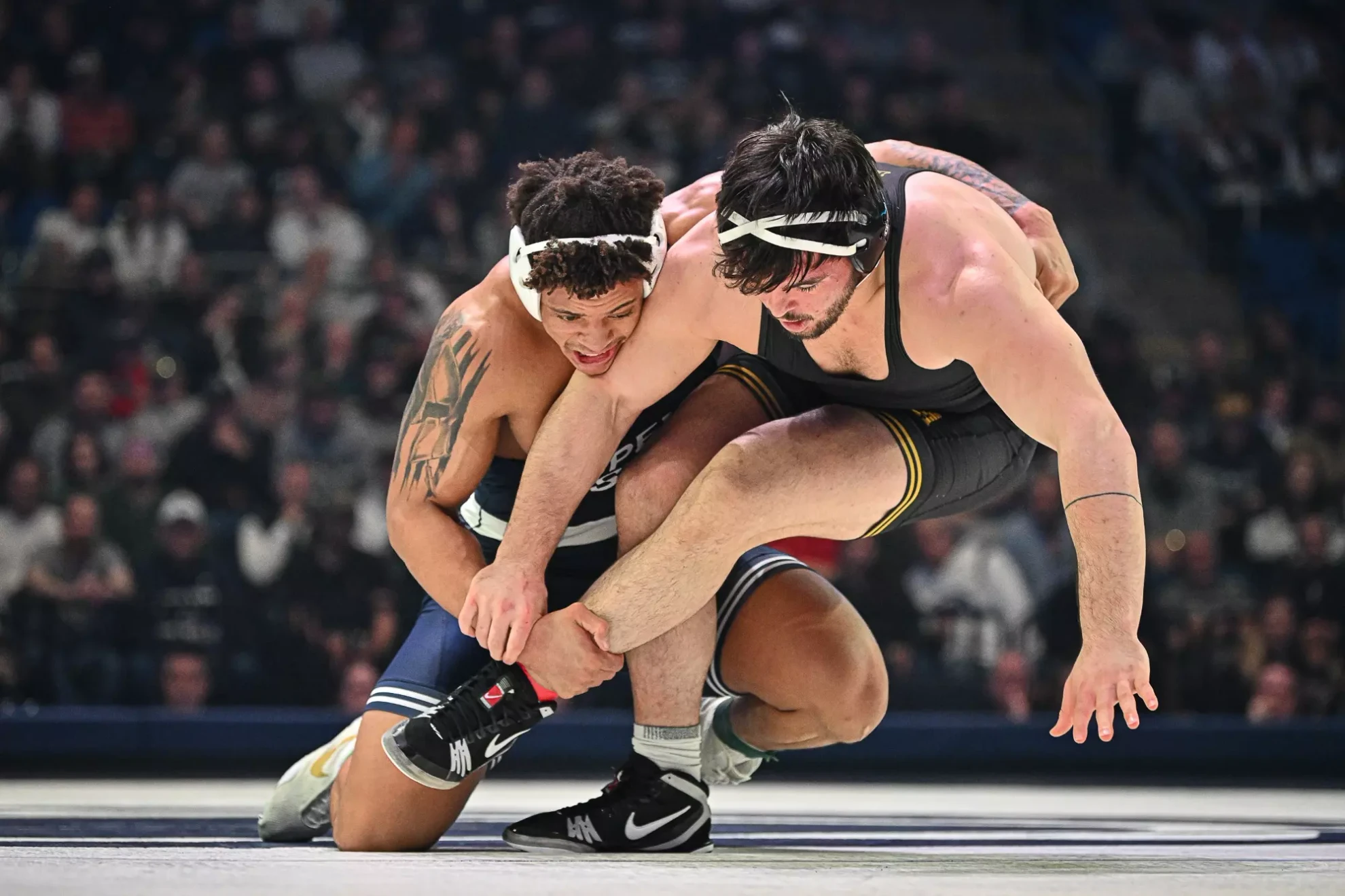 gopsusports.com